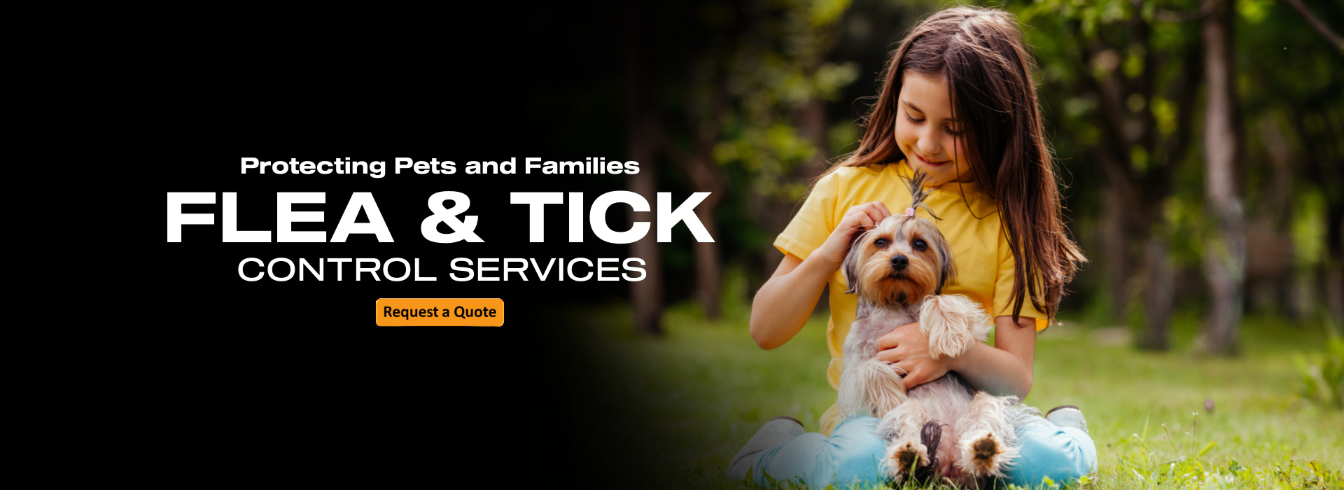 Pest Control Jacksonville Safari Termite Pest Control